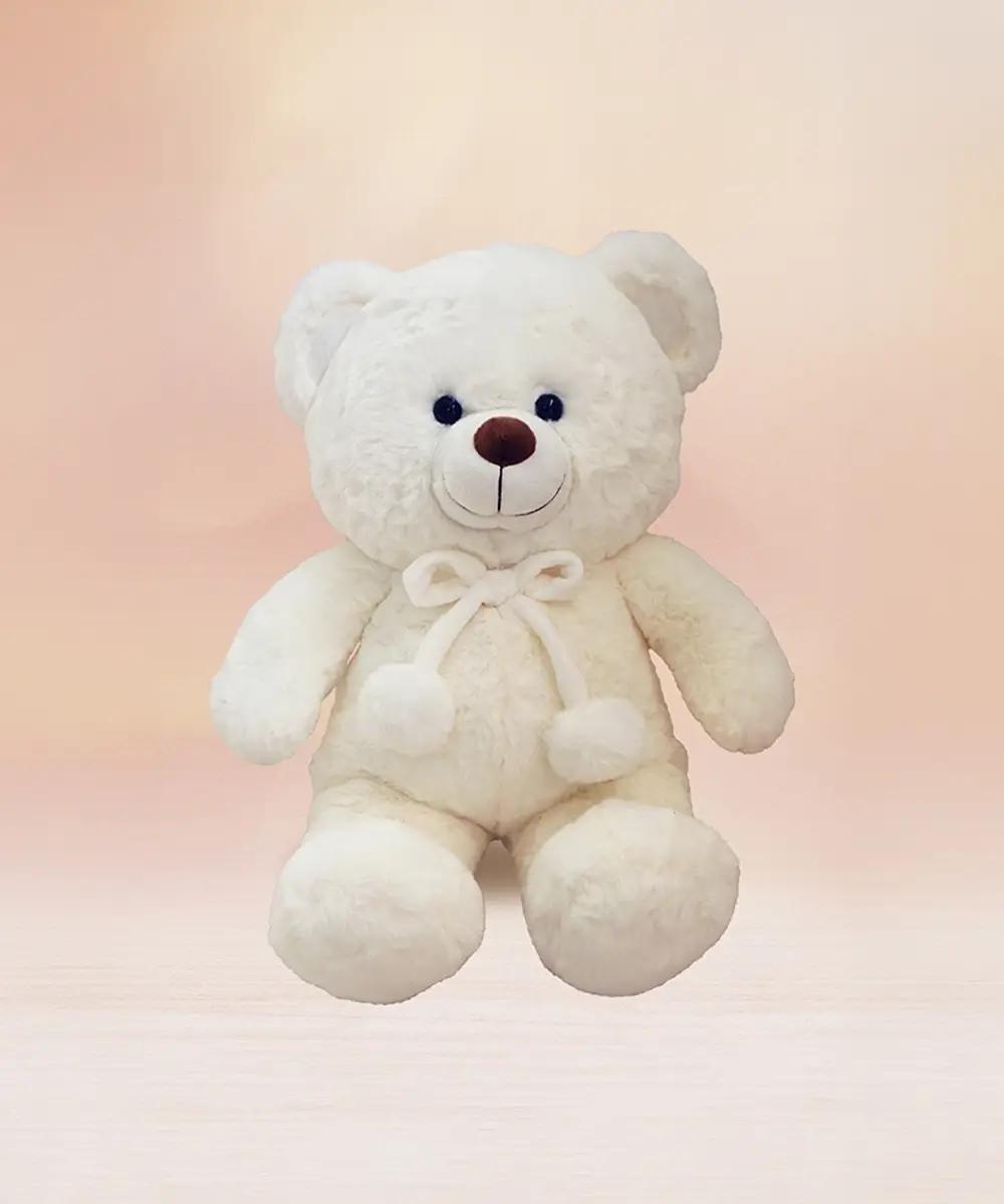 AN001 White Teddy Bear